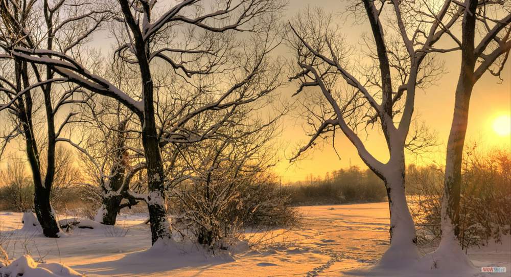 winter-snow-trees-sun_1152x864_sc