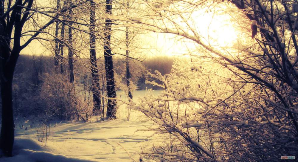 winter-the-woods-the-sun_1152x864_sc